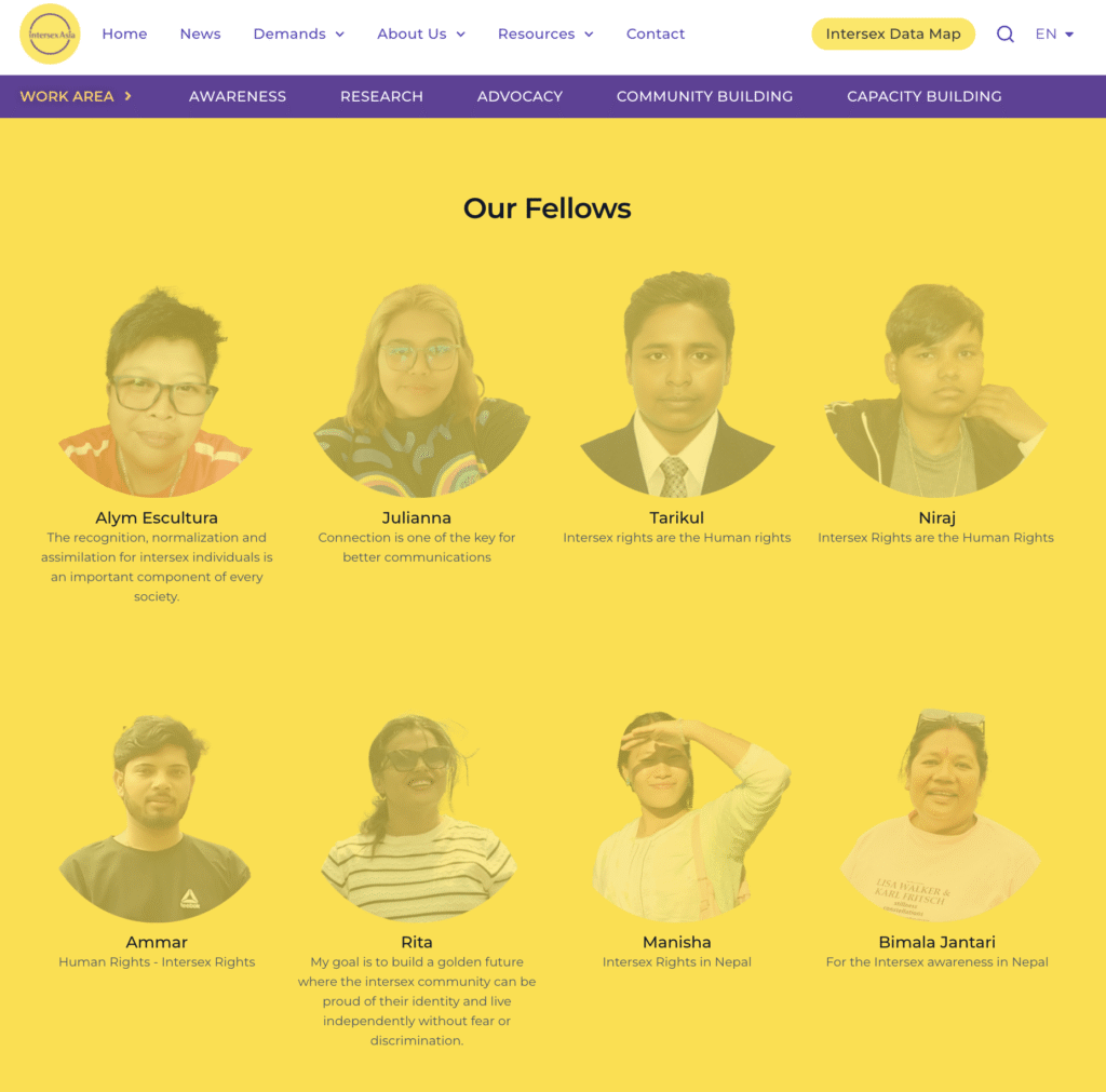 The Hall of Fame: Intersex Asia Fellowship Program 2